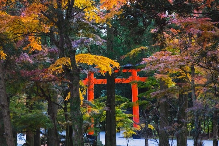 Customize Your Day in Kagoshima: Private Full-Day City Tour