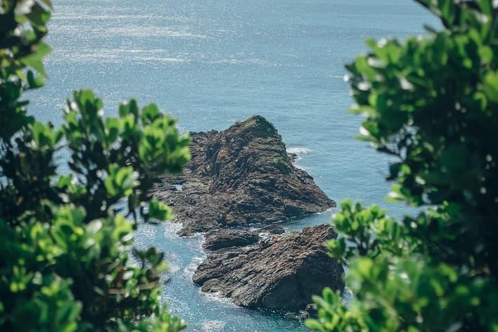 Customize Your Day in Kagoshima: Private Full-Day City Tour photo 4