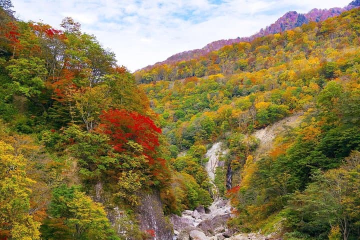 Custom Half-Day Niigata City Tour — Sake, Markets & Historic Sites photo 4