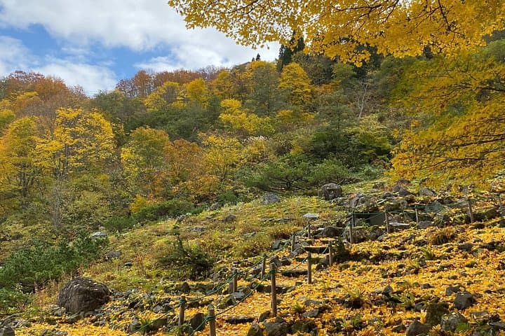Custom Half-Day Niigata City Tour — Sake, Markets & Historic Sites