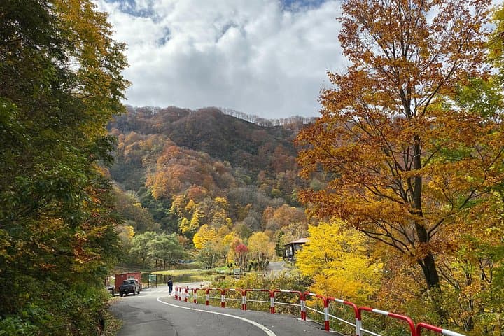 Custom Half-Day Niigata City Tour — Sake, Markets & Historic Sites photo 5
