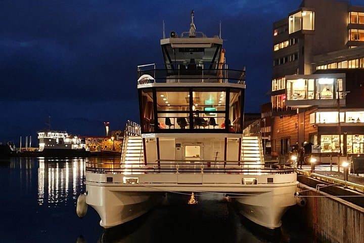 Tromsø Northern Lights Dinner Cruise: 3-Course Aurora Voyage