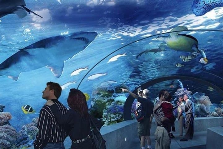 Antalya Aquarium Platinum Tour from Side — Full-Day Aquarium & Antalya Highlights