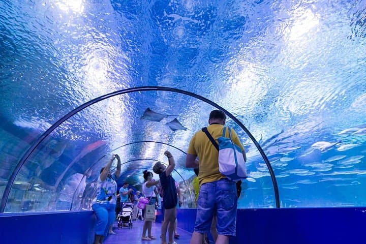 Antalya Aquarium Platinum Tour from Side — Full-Day Aquarium & Antalya Highlights photo 5