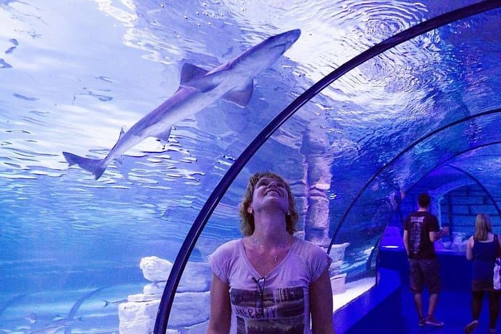 Antalya Aquarium Platinum Tour from Side — Full-Day Aquarium & Antalya Highlights photo 6