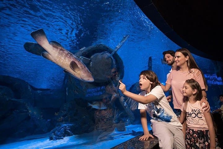 Antalya Aquarium Platinum Tour from Side — Full-Day Aquarium & Antalya Highlights photo 2