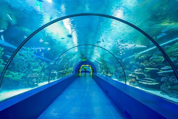 Half-Day Antalya Aquarium Tunnel from Side — Underwater Tunnel Visit & Family-Friendly Transfer photo 3