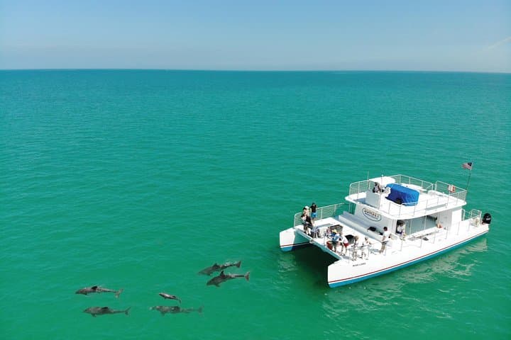 Key West Dolphin and Snorkel Experience: Explore Coral Reefs and Sunset Cruises photo 6
