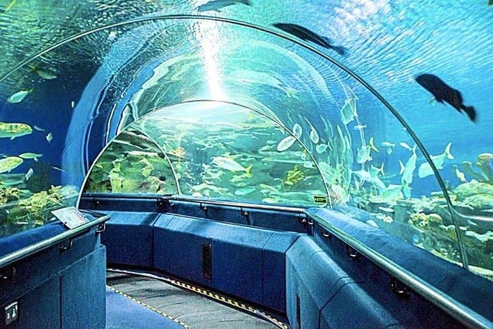 Aquaria KLCC: Walk the 90-Metre Underwater Tunnel in Kuala Lumpur photo 2