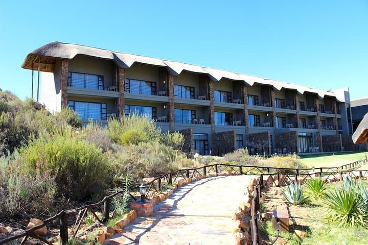 Crocodile Cage Diving, Cape Point & Stellenbosch Wine Tasting — 3-Day Cape Town Adventure photo 5
