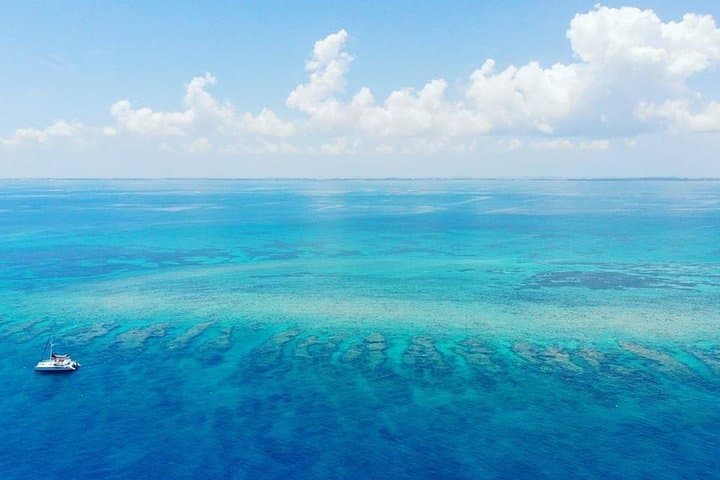Key West 2-Reef Snorkel and Sunset Cruise with Beer & Wine photo 6