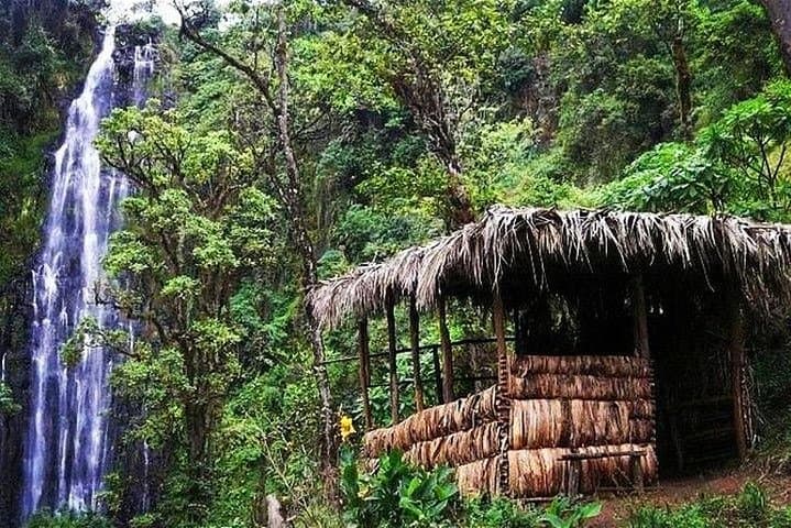Materuni Waterfalls, Coffee & Chagga Village Full-Day Tour Near Kilimanjaro photo 2