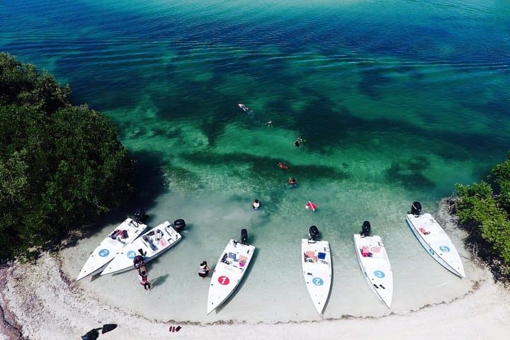 Key West Safari: Eco Sandbar Snorkel & Mini-Boat Adventure photo 2