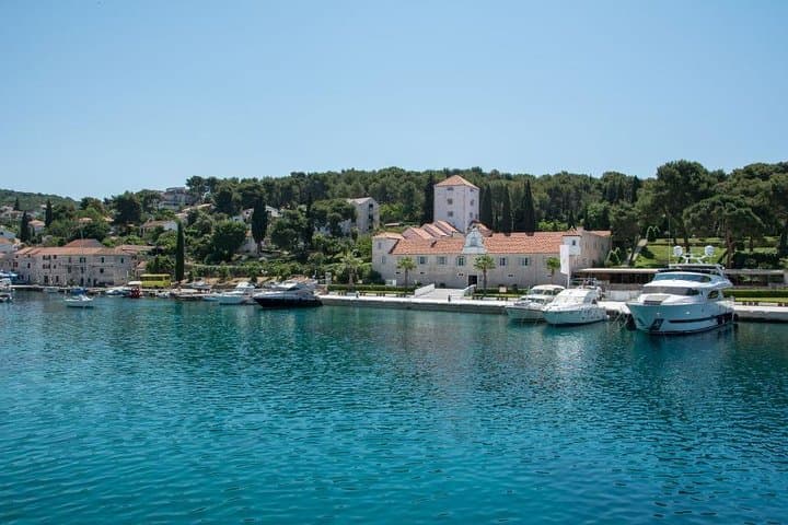 Split Speedboat Day: Blue Lagoon, Šolta & Brač — Private Snorkel Tour photo 3
