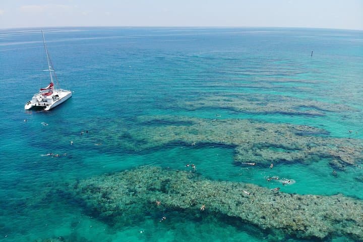 Key West Afternoon Reef Snorkeling with Open Bar — Dip & Sip on the Sandie Cat photo 4
