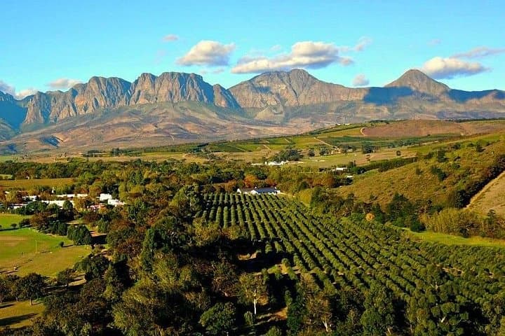 Cape Town Private Wineland Tasting Tour: Stellenbosch, Paarl & Franschhoek Day Trip photo 4