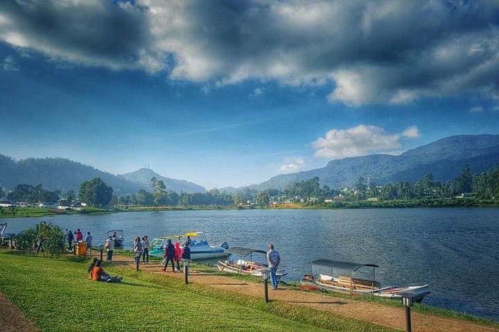 Scenic Tea Country Day: Kandy, Nuwara Eliya & Train to Ella