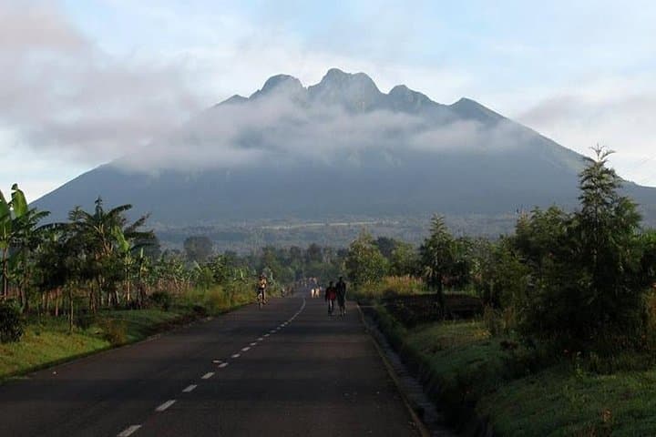 Gorilla Trekking in Rwanda: Volcanoes National Park Day Trek from Kigali
