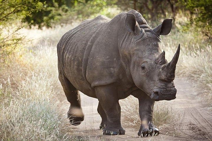 Niokolo-Koba & Bedik Country: 5-Day Safari, Waterfalls & Village Walks