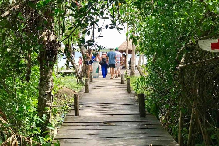 Kaan Luum Lagoon and Two Cenotes: Full-Day Riviera Maya Tour photo 5