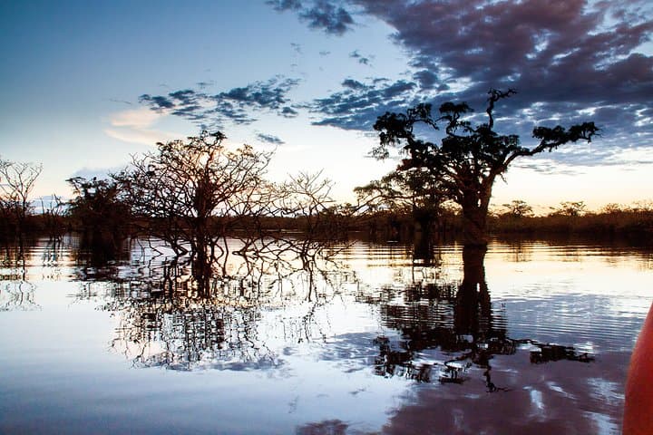 4-Day Amazon Immersive Experience in Cuyabeno Reserve photo 4