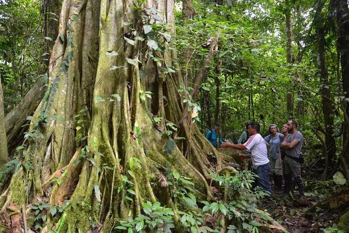 4-Day Amazon Immersive Experience in Cuyabeno Reserve photo 5
