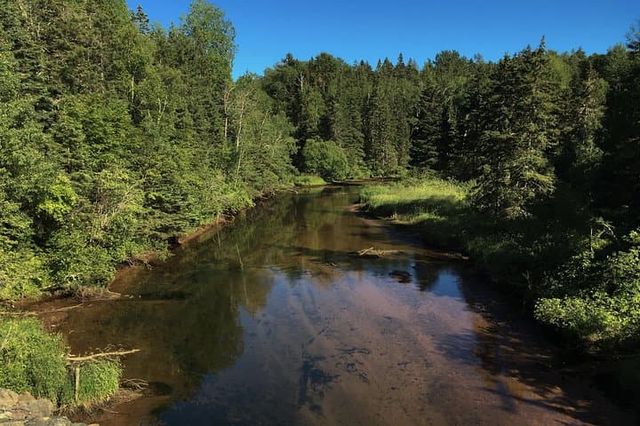 Casting Into Quiet Rivers: Guided Fly Fishing on Prince Edward Island