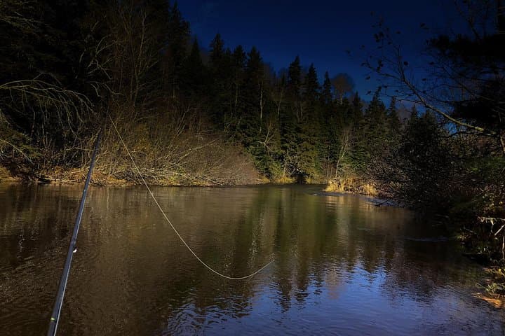 Casting Into Quiet Rivers: Guided Fly Fishing on Prince Edward Island photo 2