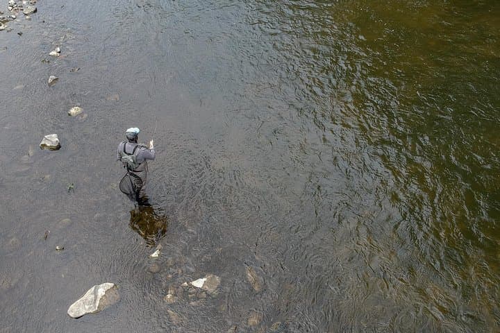 Casting Into Quiet Rivers: Guided Fly Fishing on Prince Edward Island photo 3