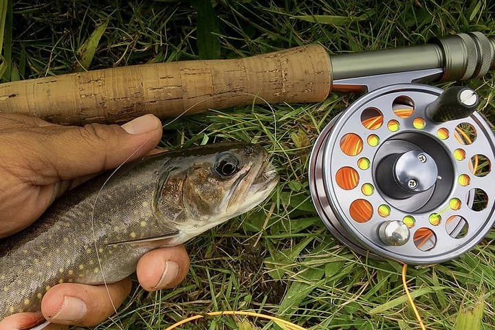 Casting Into Quiet Rivers: Guided Fly Fishing on Prince Edward Island photo 5