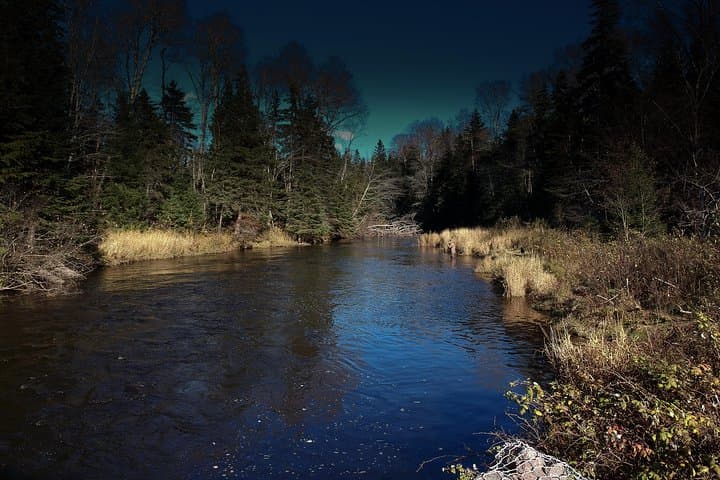 Casting Into Quiet Rivers: Guided Fly Fishing on Prince Edward Island photo 6