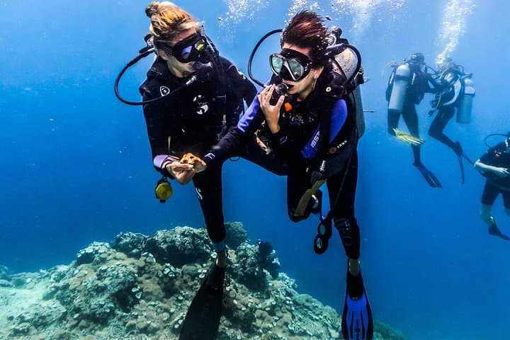 Open Water Course in Nusa Lembongan — SSI Certification & Manta Encounters photo 5