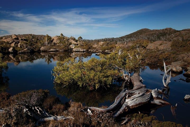 Mt Field & Russell Falls Day Tour: Rainforest Walks, Wildlife Sanctuary & Farm-to-Table Lunch photo 2