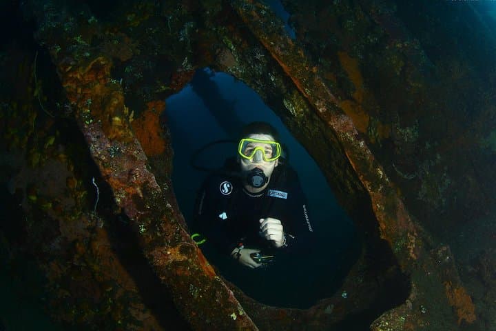 Tulamben 3-Dive Day Trip: Liberty Wreck, Coral Gardens & Drop-Off from South Bali photo 4