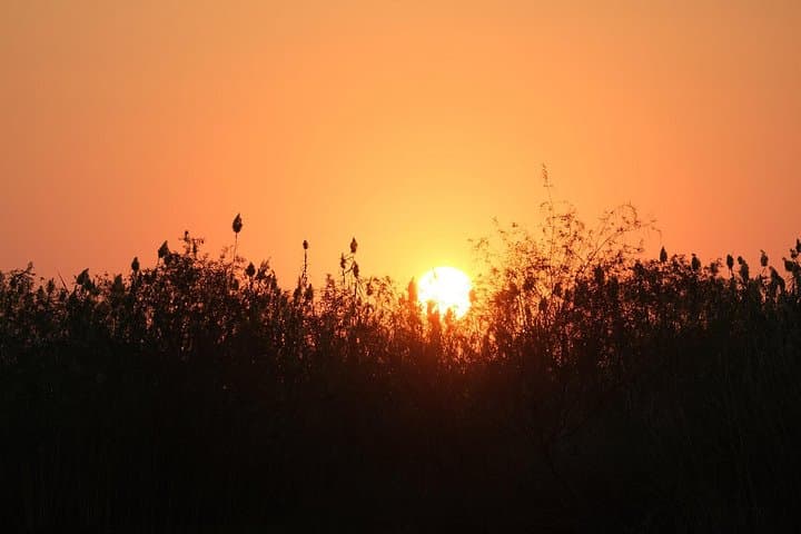 11-Day Private Mobile Camping Safari in Botswana — Chobe, Okavango & Makgadikgadi photo 6