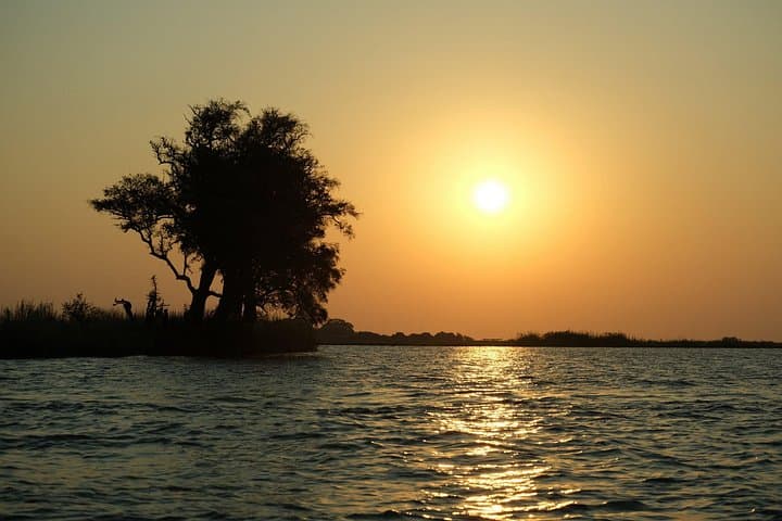 5-Day Mobile Camping Safari in Botswana — Chobe River & Okavango Delta Camping Safari photo 6
