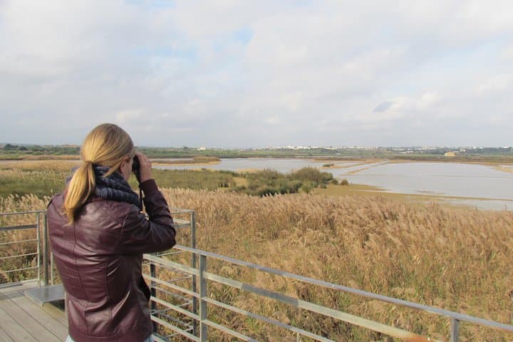 Afternoon Birdwatching at Lagoa dos Salgados — Algarve Waterfowl Walk