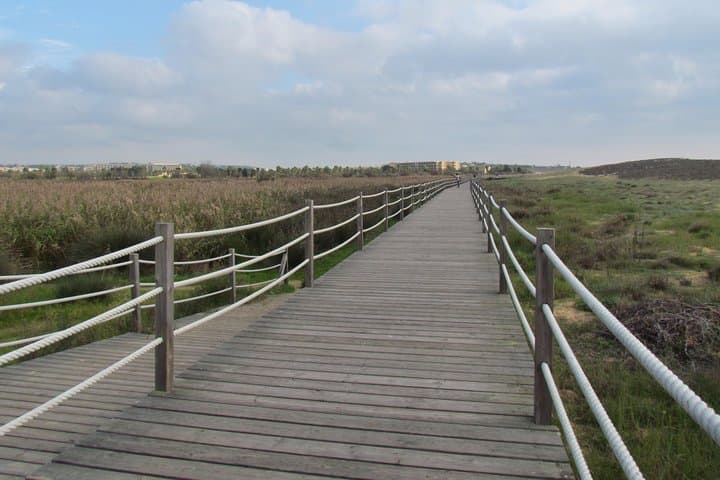 Afternoon Birdwatching at Lagoa dos Salgados — Algarve Waterfowl Walk photo 2