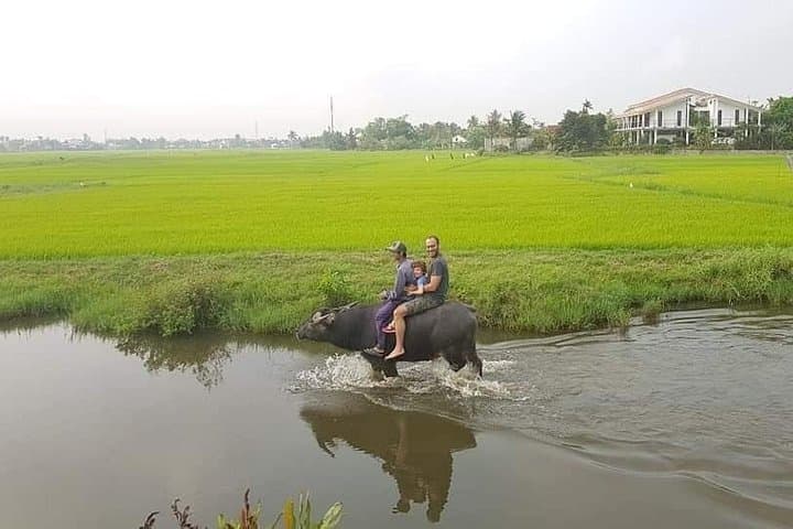 Hoi An Village Immersion: Pottery, Farming, Bamboo Basket Boat & Buffalo Ride photo 3
