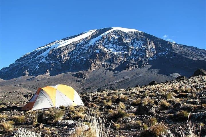 9-Day Northern Circuit Kilimanjaro Climb: Longer Route, Better Acclimatization