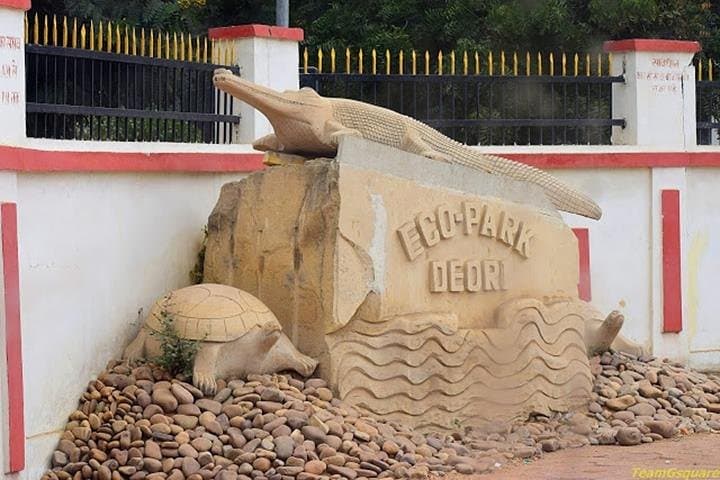 Gwalior to Morena Gharial Eco Park Day Trip: Watch Hatchling Gharials and Tortoises photo 6