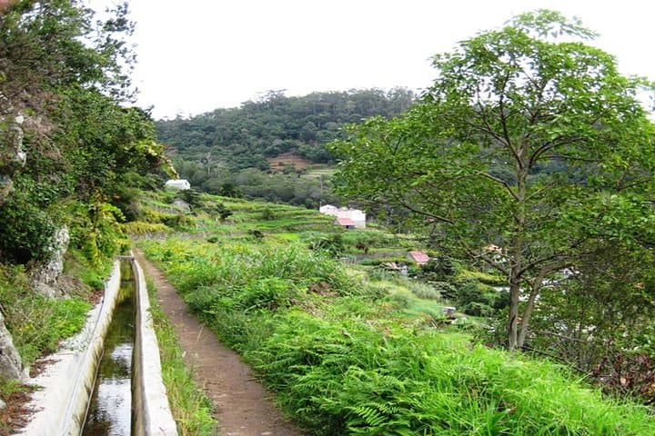 Madeira Half-Day Private Walk: Levada do Caniçal to Machico photo 3