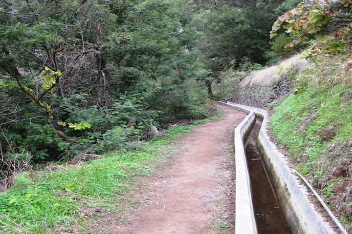 Madeira Half-Day Private Walk: Levada do Caniçal to Machico photo 4