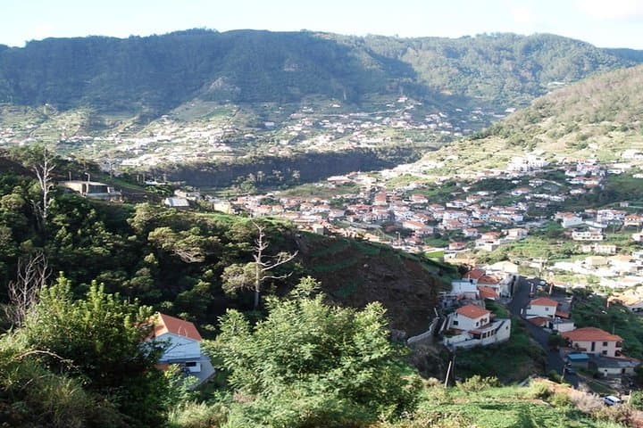Madeira Half-Day Private Walk: Levada do Caniçal to Machico photo 5