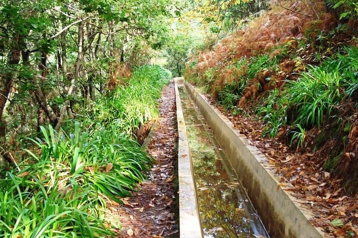 Madeira Levada Prazeres to Raposeira — Private Guided Levada Walk