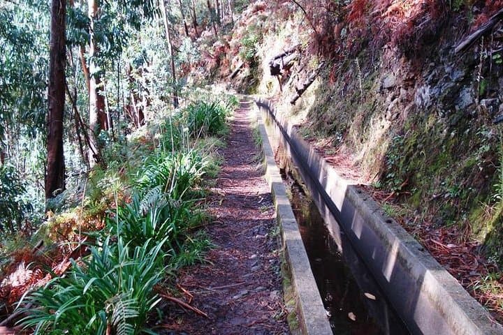 Madeira Levada Prazeres to Raposeira — Private Guided Levada Walk photo 5