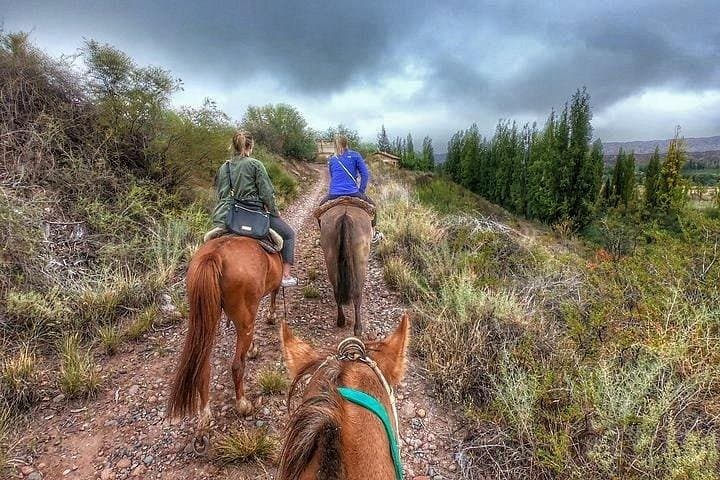 Horseback Riding Through Maipú Vineyards with Gourmet Winery Lunch