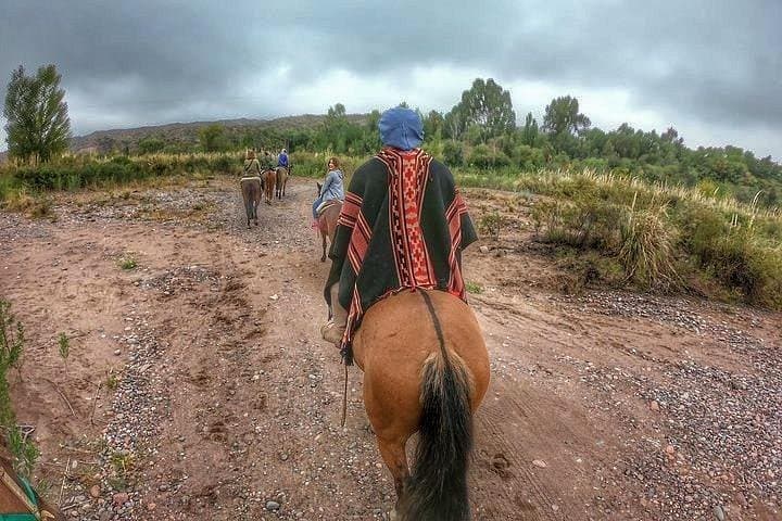 Horseback Riding Through Maipú Vineyards with Gourmet Winery Lunch photo 2