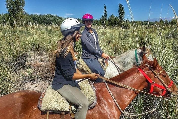 Horseback Riding Through Maipú Vineyards with Gourmet Winery Lunch photo 3