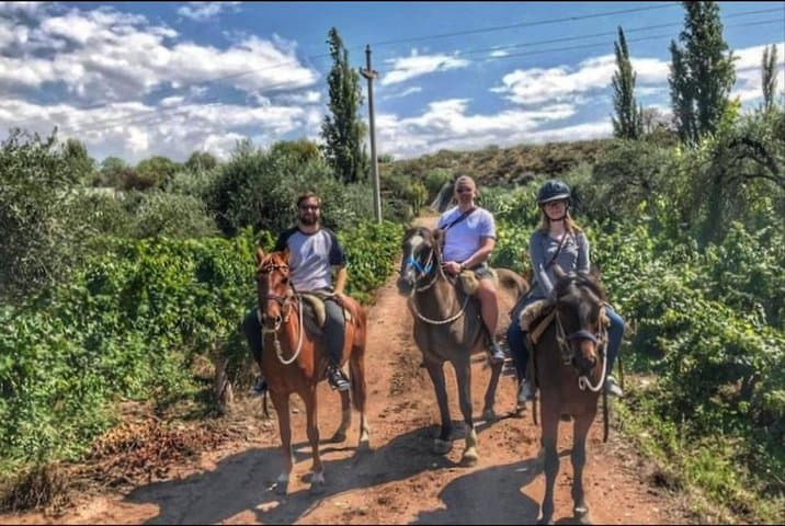Horseback Riding Through Maipú Vineyards with Gourmet Winery Lunch photo 5